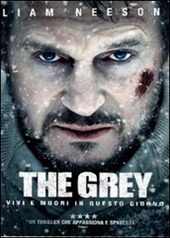 Copertina  The grey