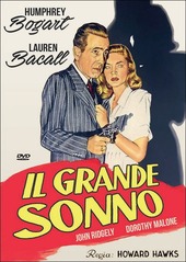 Copertina  Il grande sonno