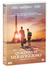 Copertina  Qualcosa di meraviglioso