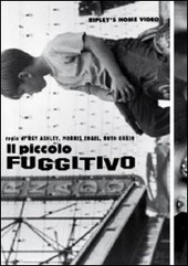 Copertina  Il piccolo fuggitivo