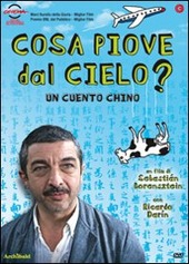 Copertina  Cosa piove dal cielo? [DVD]