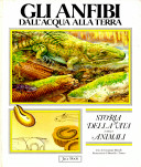 Copertina  Gli anfibi : dall'acqua alla terra