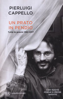 Copertina  Un prato in pendio : tutte le poesie 1992-2017