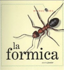 Copertina  Formica