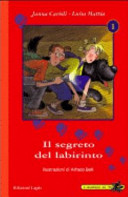 Copertina  Il segreto del labirinto