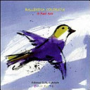 Copertina  Ballerina colorata