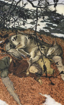 Copertina  Fratello lupo