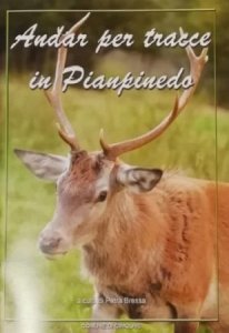 Copertina  Andar per tracce in Pianpinedo