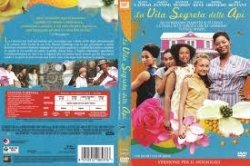 Copertina  La vita   segreta  delle  Api