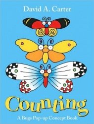 Copertina  Counting