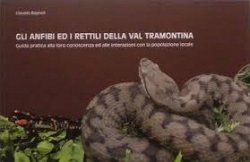 Copertina  Gli anfibi ed i rettili della Val Tramontina : guida pratica alla loro conoscenza ed alle interazioni con la popolazione locale