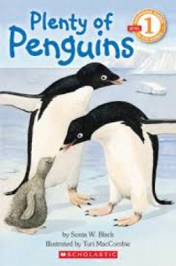 Copertina  Plenty of penguins