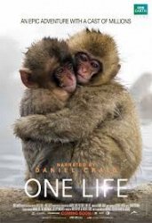 Copertina  One life : il film. Un'avventura lunga una vita [DVD]