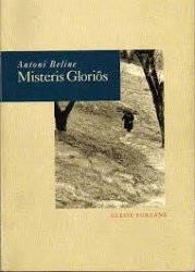 Copertina  Misteris gloriôs : vitis di un predi e de sô int
