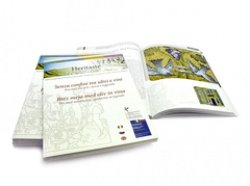 Copertina  Senza confini tra ulivi e vini : percorso tra arte, storia e leggenda = Brez meja med oliv in vina : pot med umetnostjo, zgodovino in legendo