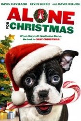 Copertina  Alone for christmas [DVD]