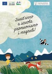 Copertina  Quest'anno a scuola promuoviamo i magredi! : libro di attività per le scuole elementari e medie inferiori