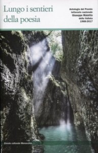 Copertina  Lungo i sentieri della poesia : Premio letterario nazionale Giuseppe Malattia della Vallata : antologia del Premio 1988-2017