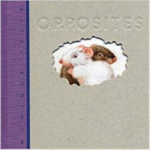 Copertina  The Opposites