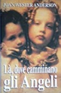 Copertina  Là, dove camminano gli angeli : storie vere di incontri celesti