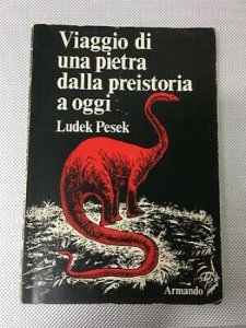 Copertina  Viaggio di una pietra dalla preistoria a oggi : adattamento da un racconto cecoslovacco di Herbert Ungar