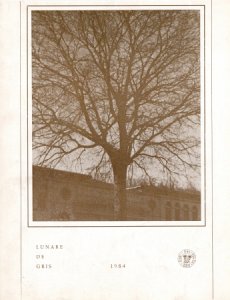 Copertina  Lunare de Gris 1984