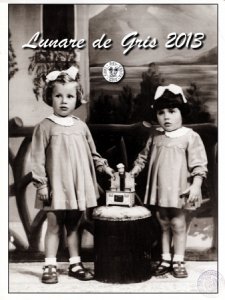 Copertina  Lunare de Gris 2013