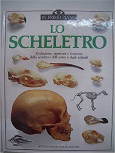 Copertina  Lo scheletro