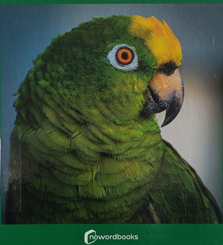 Copertina  Verde, Verd, Verde, Berde, Green, Vert, Grün, Verde, Verde, πράσινος, зеленый
