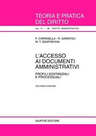 Copertina  L'accesso ai documenti amministrativi : profili sostanziali e processuali