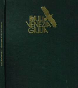 Copertina  Friuli Venezia Giulia una regione a servizio completo